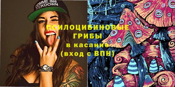 spice Дмитровск