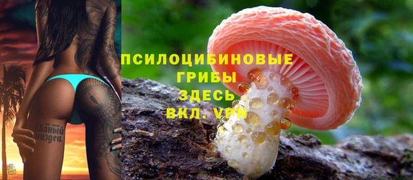 spice Дмитровск