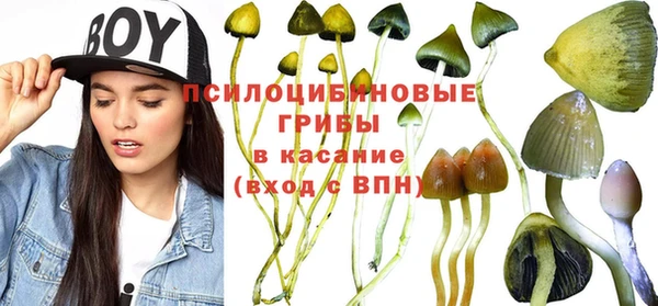 spice Дмитровск
