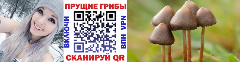 Купить  Кукмор  Галлюциногенные грибы ЛСД 